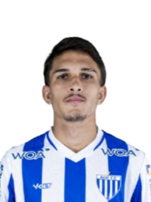 Vinicius Gugel