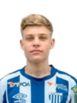 Vinicius Alemão