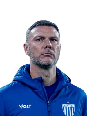Vinícius Bergantin