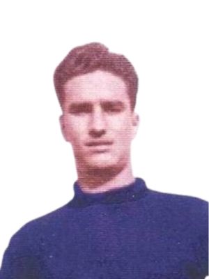 Adolfinho
