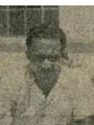 Bodinho