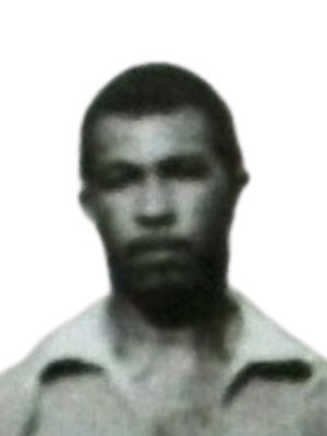 Acioli